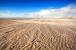 windy beach by North sea