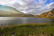 Photo: Solar patch of light Solar patch of light