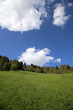 Almwiese Bergwiese im Frühling mit Wolken
