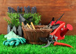 Garden tools on grass in yard