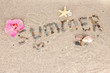 sea stones in the sand