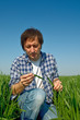 Photo: Man in wheat field Man in wheat field
