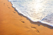 Foto: beach, wave and footsteps at sunset time beach, wave and footsteps at sunset time