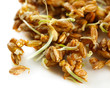 Wheat germs, close up