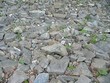 Kamienista plaża