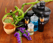 Spas composition with oils and spa stones