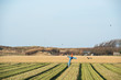 Photo: Scarecrow in agriculture field Scarecrow in agriculture field