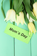 Beautiful white tulips on color wooden background