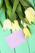 Beautiful white tulips on color wooden background