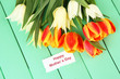 Beautiful white and orange tulips on color wooden background