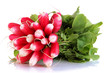 Small garden radish with leaves isolated on white