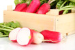 Small garden radish with leaves close up