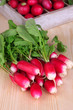 Small garden radish with leaves on wooden background