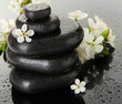 Spa stones and white flowers on dark background