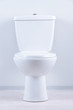 White toilet bowl in a bathroom