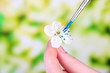 Foto: Female hands holding white flower and paint it with colors, Female hands holding white flower and paint it with colors,