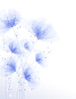 Vettoriale: vector background with flowers vector background with flowers