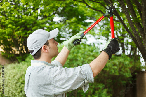 Photo: Gardener pruning a tree Gardener pruning a tree