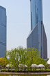 Pudong
