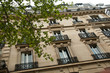 Immeuble parisien ombragé