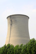 heavy industrial water cooling tower and the green tree