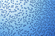 Bubbles