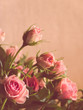 Vintage Roses