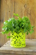 green, organic parsley on wooden table