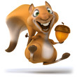 Fun squirrel