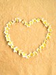 White plumeria.heart shaped