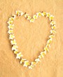 White plumeria.heart shaped