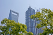 Pudong