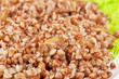 buckwheat