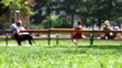 Park Scene on a sunny day