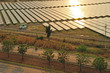 Photo : Aerial photo of solar power plant. Aerial photo of solar power plant.