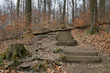 Foto: Wanderweg zum Hohenstein Wanderweg zum Hohenstein