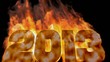 2013 under fire