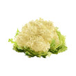 Вектор: cauliflower of blots vector illustration cauliflower of blots vector illustration