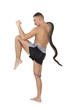 Fighter with python snake