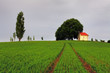 Countryside with meadow and chapel