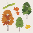 city Canadian maple