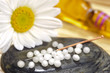 Alternativmedizin Naturmedizin