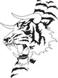Tiger Tattoo