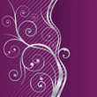 Beautiful fuchsia and silver swirls border
