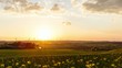 Sunset Timelapse Pan