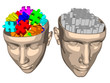 Illustration: Puzzle brain of woman and man - cartoon Puzzle brain of woman and man - cartoon