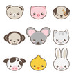 Cute animals