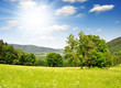 Spring landscape in the national park Sumava - Czech Republic