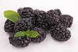 blackberry