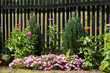 Garten 55